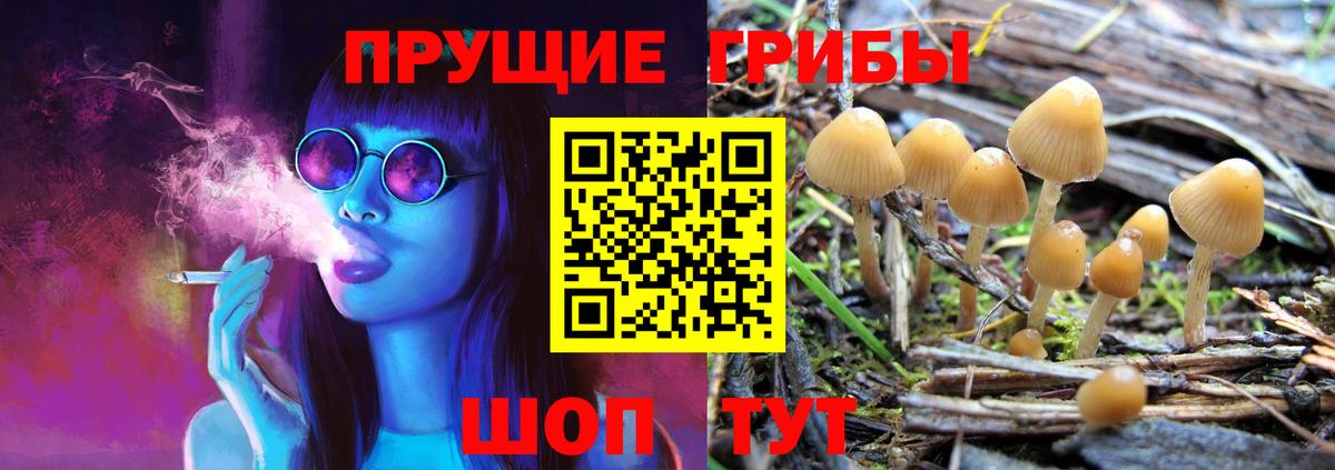Красноармейск  Псилоцибиновые грибы прущие грибы  купить закладку  Вход с VPN 